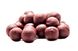 Розчинні Бойли Professional Soluble Squid-Cranberry [Кальмар & Журавлина], 20, 200