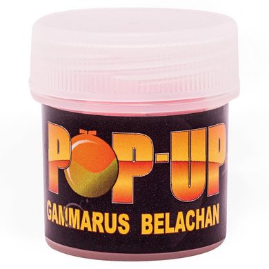 Бойли Плаваючі Pop-Ups Gammarus Belachan [Гамарус & Белачан], 10, 15 штук, Red/Червоний