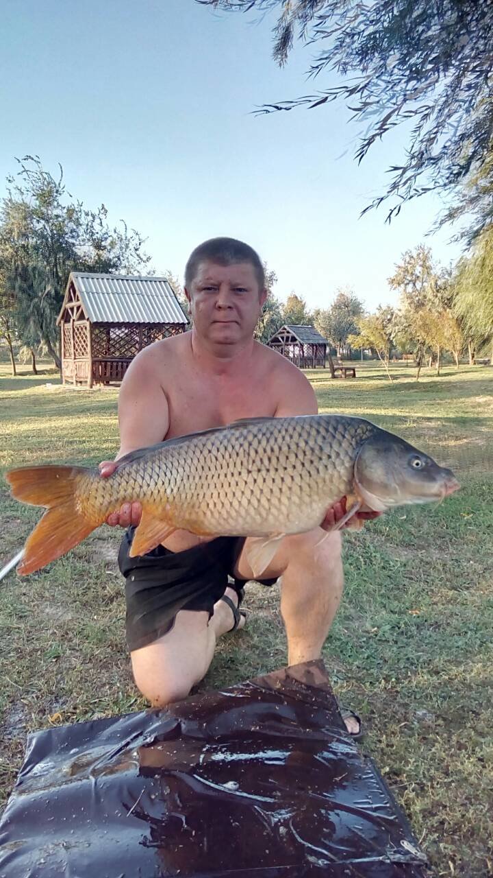 Карп пойман на водоеме Томина Балка в херсонской области