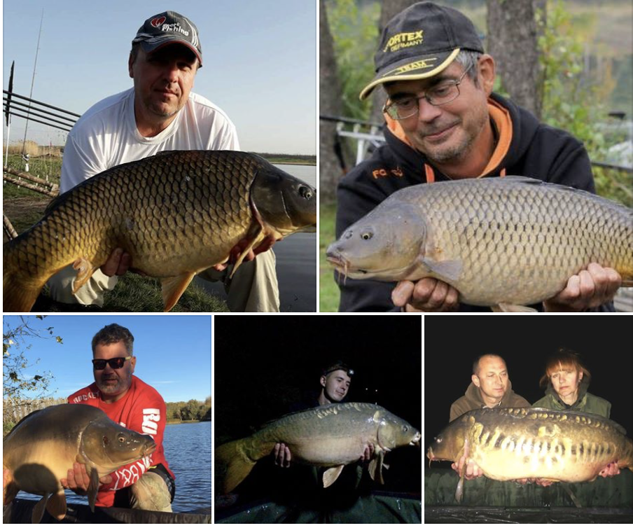 CarpFishing Media