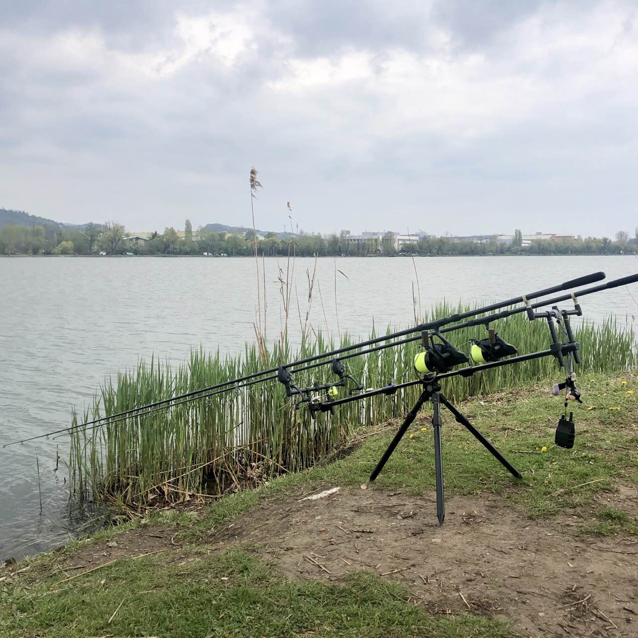 Карповая рыбалка в Венгрии